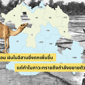 โลกร้อน ฝนในอีสานยิ่งตกเพิ่มขึ้น แต่ทำไมภาวะทะเลทราย ถึงกำลังขยายตัว?