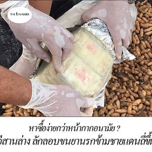 อีสานล่าง ลักลอบขนยานรกข้ามชายแดนถี่ขึ้น