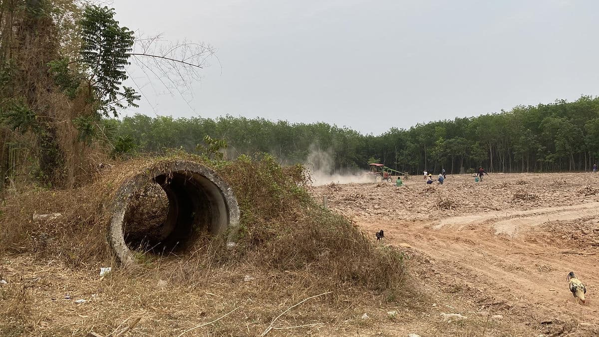 "เผาตลาด"ฉากอันคลุมเครือ เรื่องเล่าคอมมิวนิสต์ บ้านกรวด บุรีรัมย์