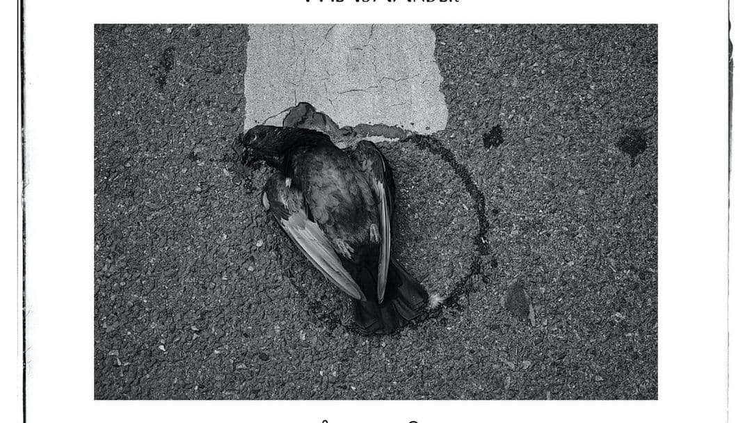 อำนาจเจริญ