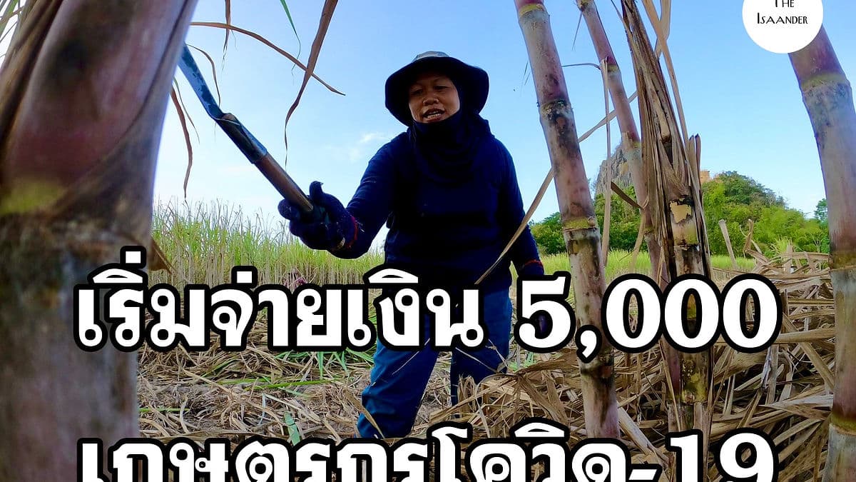 5,000 บาท รัฐเริ่มเยียวยาเกษตรกรช่วงโควิด-19
