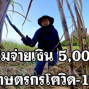 5,000 บาท รัฐเริ่มเยียวยาเกษตรกรช่วงโควิด-19
