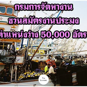 ตกงานอย่าเพิ่งท้อ งานประมงรอ 5 หมื่นตำแหน่ง