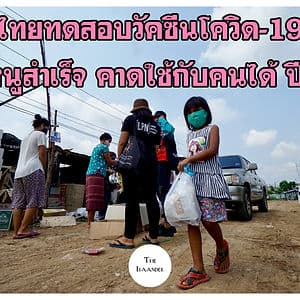ไทยทดลองใช้วัคซีนโควิด-19 กับหนูสำเร็จ คาดทันใช้กับคนปี 64