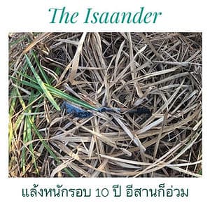 รมว.ทรัพยากรฯ ระบุ ไทยจะแล้งที่สุดในรอบ 10 ปี