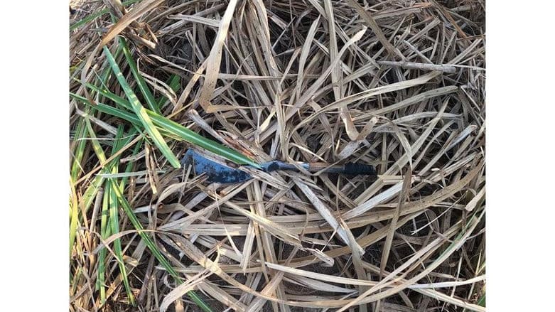 รมว.ทรัพยากรฯ ระบุ ไทยจะแล้งที่สุดในรอบ 10 ปี