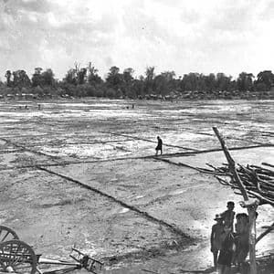 ข้าวหอมมะลิ พญาอินทรี และการดิ้นรนของชาวนาทุ่งกุลา(2)