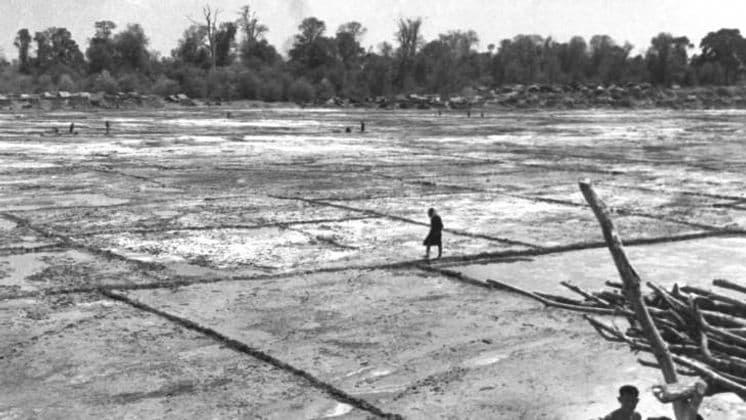 ข้าวหอมมะลิ พญาอินทรี และการดิ้นรนของชาวนาทุ่งกุลา(2)